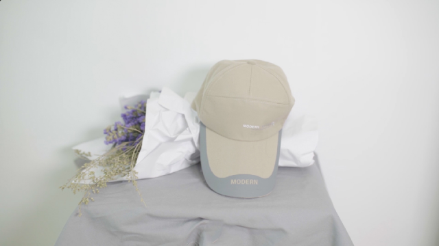 关税影响显著 大众汽车(VWAGY.US)第二季度利润锐减并下调全年业绩预测