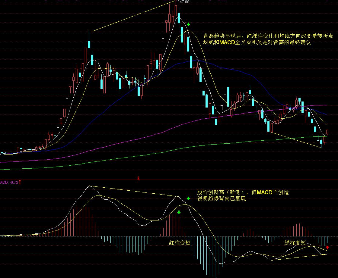 “秋冻”“贴秋膘”有讲究!专家回应秋季养生热门话题