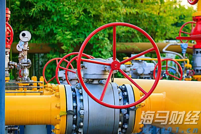 张家口市推出数字化政企服务新平台